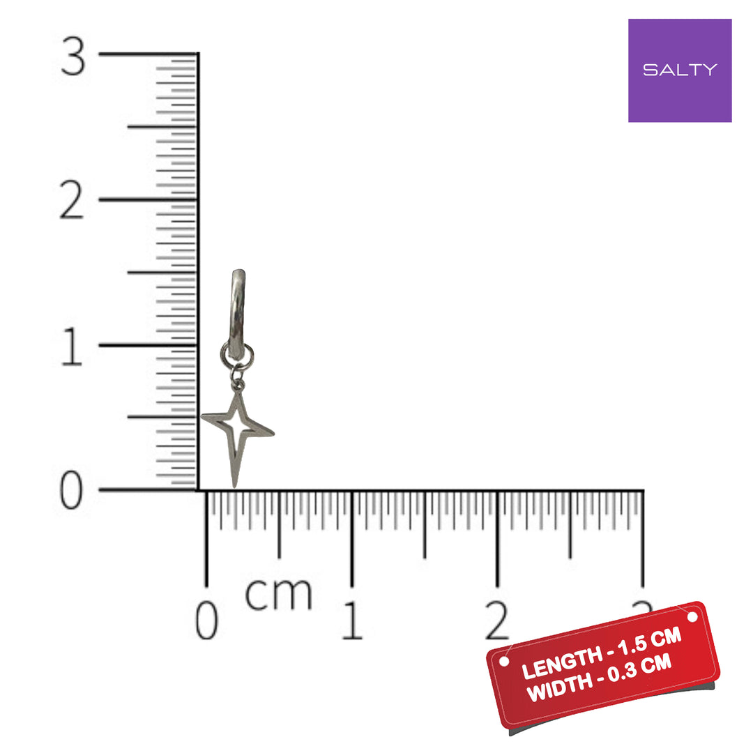 Silver Stardust Earrings