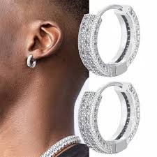 Sophisticated Silver Earrings