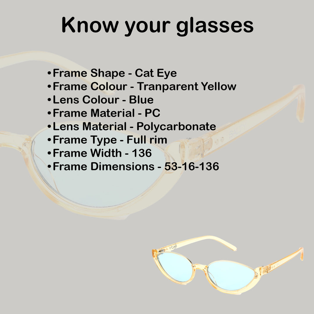 Summer Perfect Cat Eye Blue Tinted Sunglasses