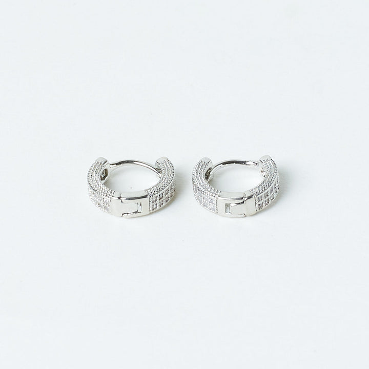 Sophisticated Silver Earrings
