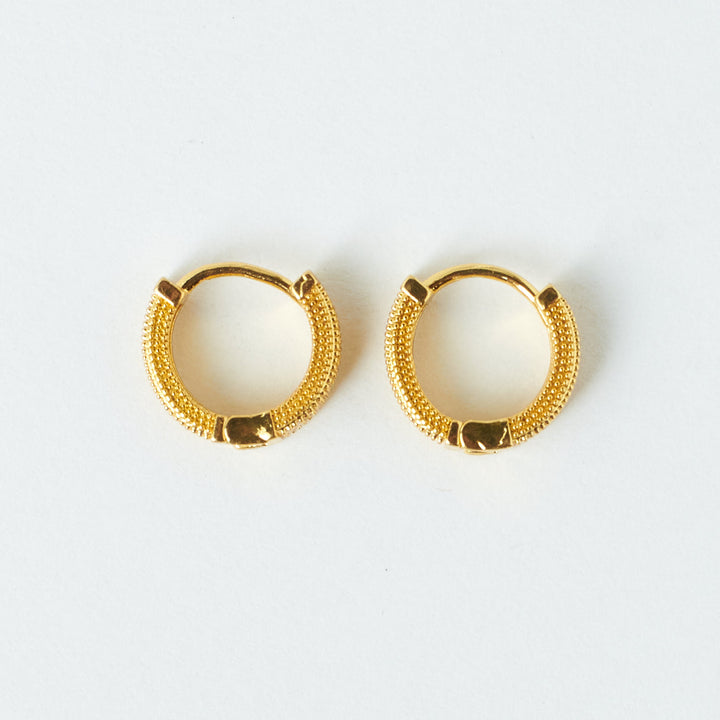 Sophisticated Golden Earrings