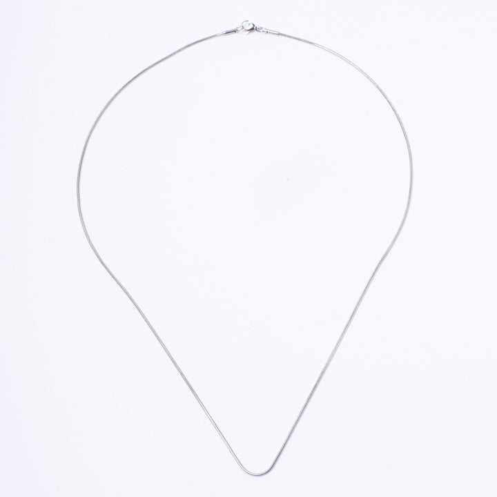 Round Snake Silver Chain