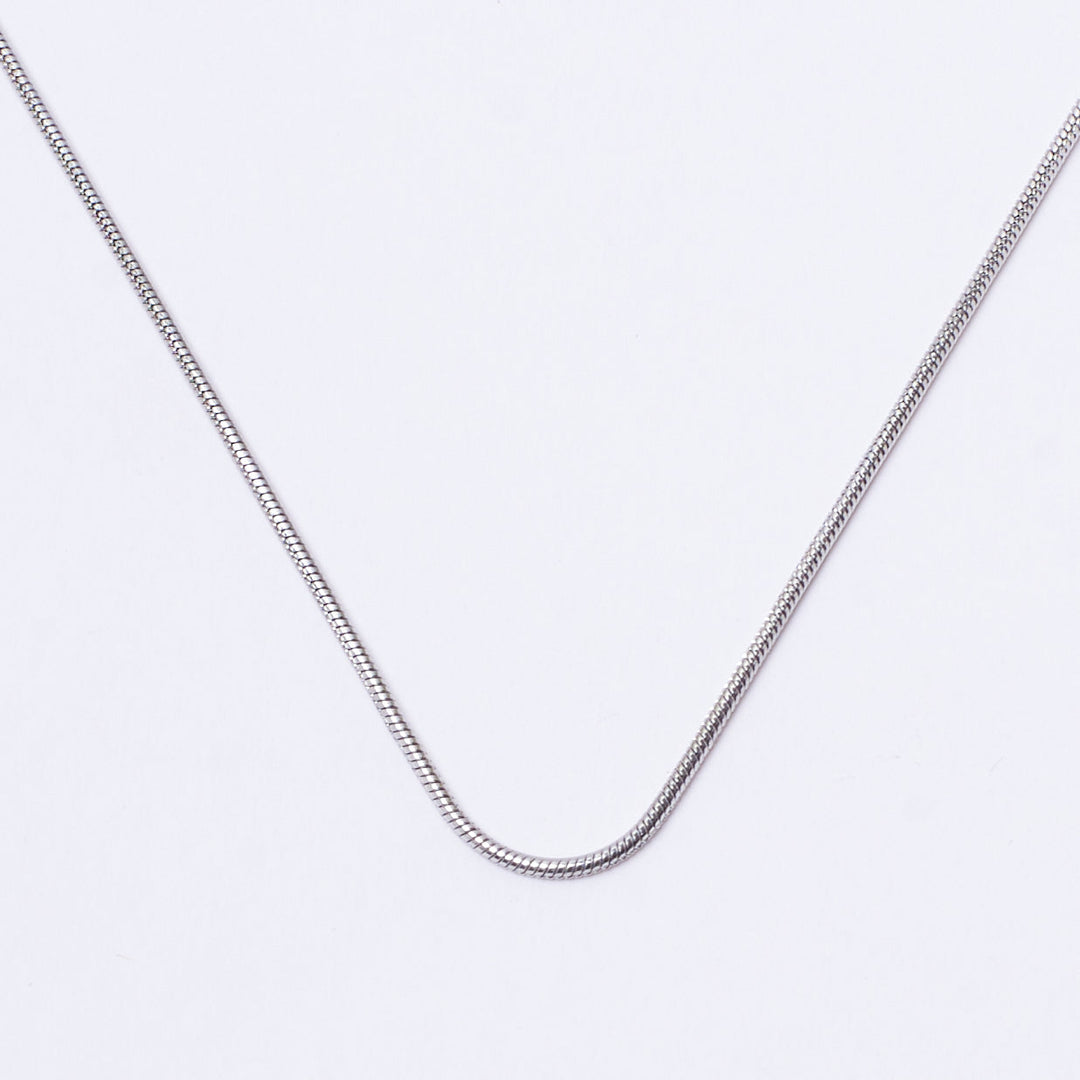 Round Snake Silver Chain