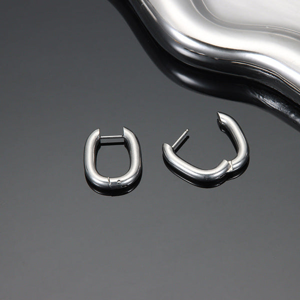 Silver Luster Earrings