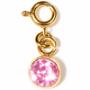Birthstone Charms