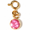 Birthstone Charms