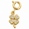 Lifestyle Charms