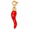 Lifestyle Charms