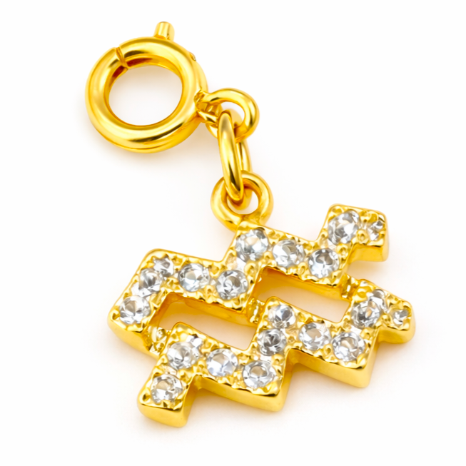 Zodiac Charms