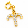 Zodiac Charms