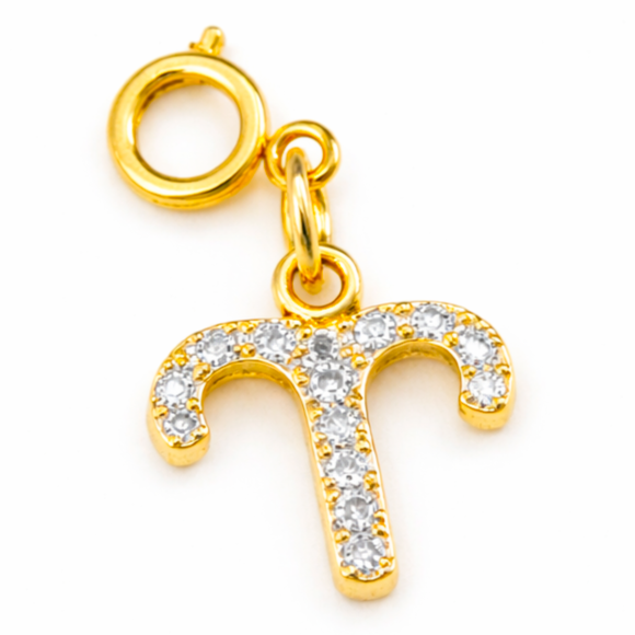 Zodiac Charms