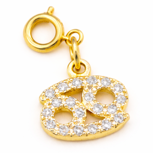 Zodiac Charms
