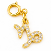 Zodiac Charms