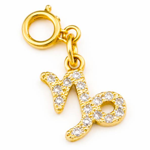 Zodiac Charms