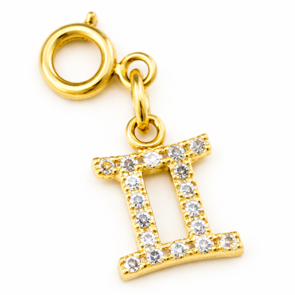 Zodiac Charms