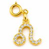 Zodiac Charms