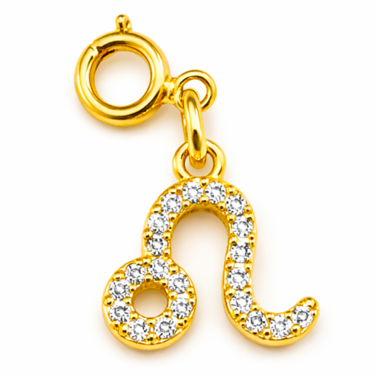 Zodiac Charms