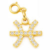 Zodiac Charms