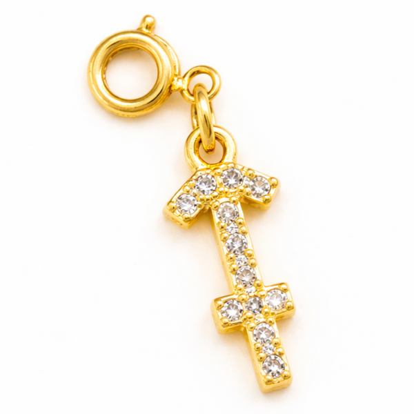 Zodiac Charms