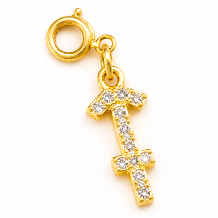 Zodiac Charms