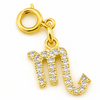 Zodiac Charms