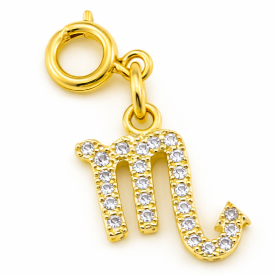 Zodiac Charms