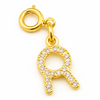 Zodiac Charms