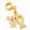 Zodiac Charms