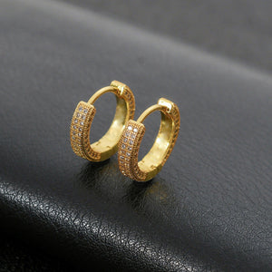 Sophisticated Golden Earrings