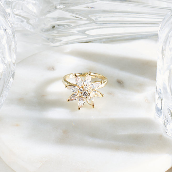 Cupid's Kiss Spinner Ring - Salty Accessories