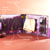 Premium Heritage Gift Hamper