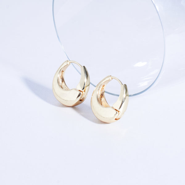 Dazzling Gold Hoop Accents Earring
