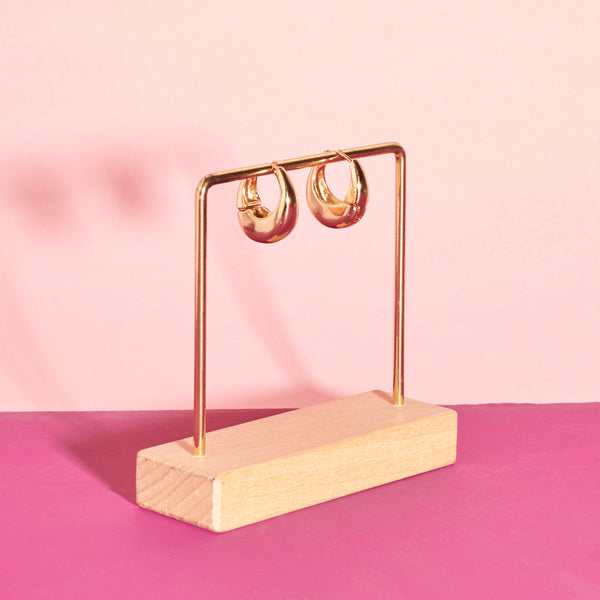 Dazzling Gold Hoop Accents Earring