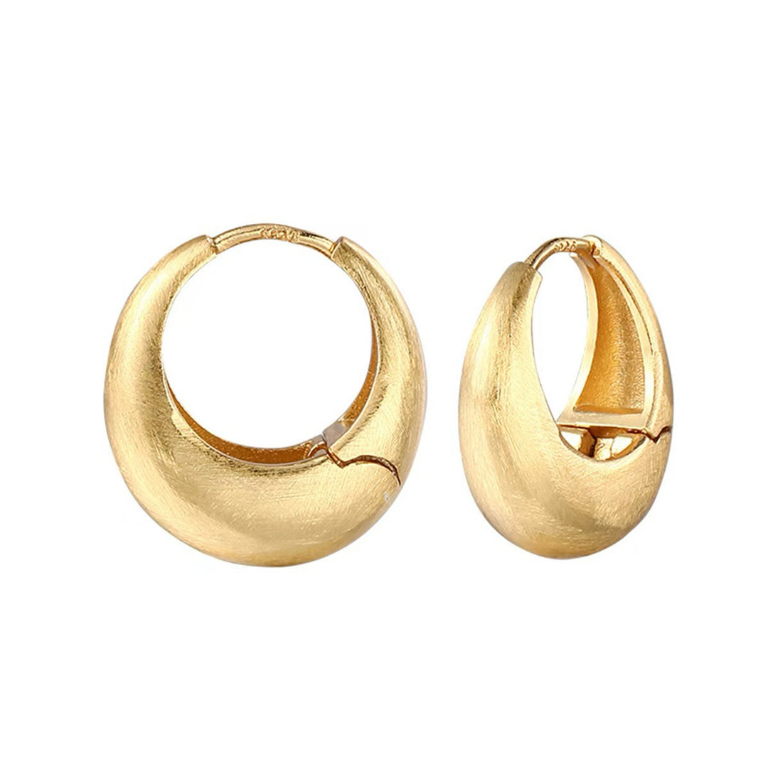 Dazzling Gold Hoop Accents Earring