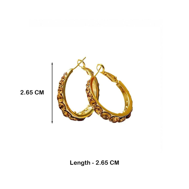 Lustre Accent Hoop Earrings - Brown