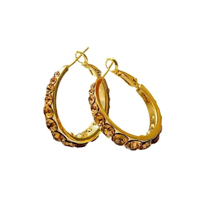 Lustre Accent Hoop Earrings - Brown