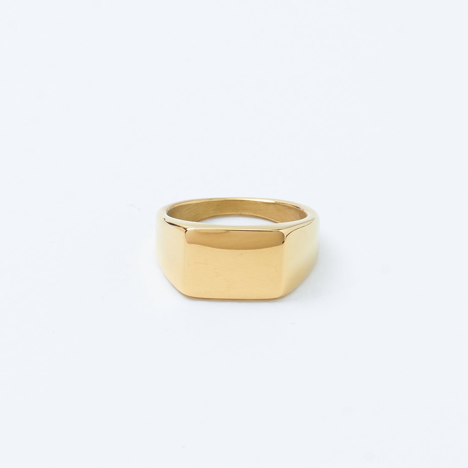 Archetype Rong Golden Archetype Ring | Salty – Salty Accessories