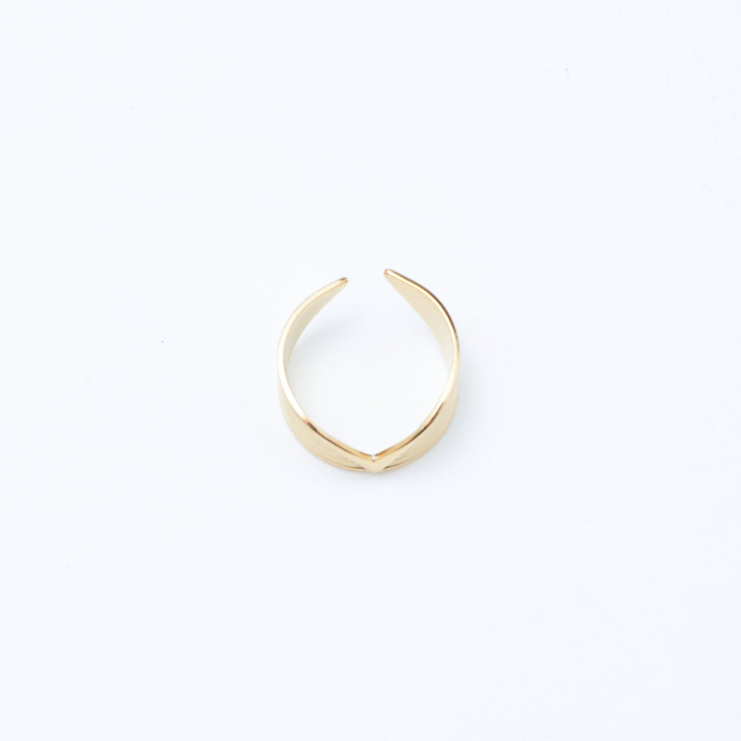 Harley Quinn Golden Ring