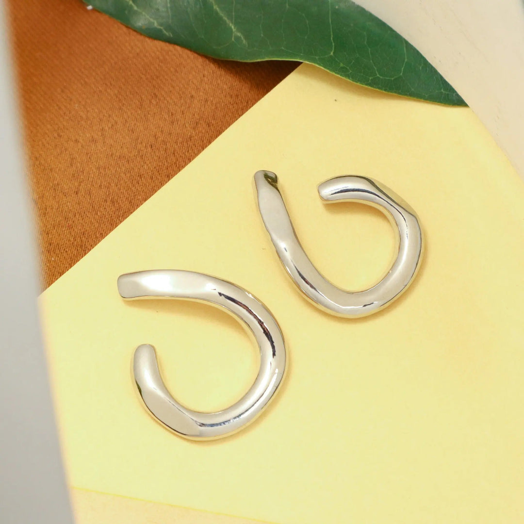 Korean chic silver earrings