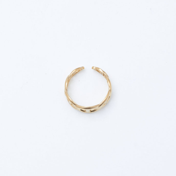 Luxurious Legacy Ring - Salty Accessories