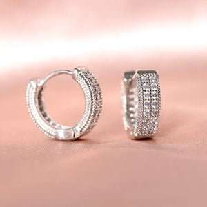 Sophisticated Silver Earrings