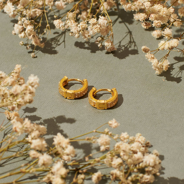 Sophisticated Golden Earrings