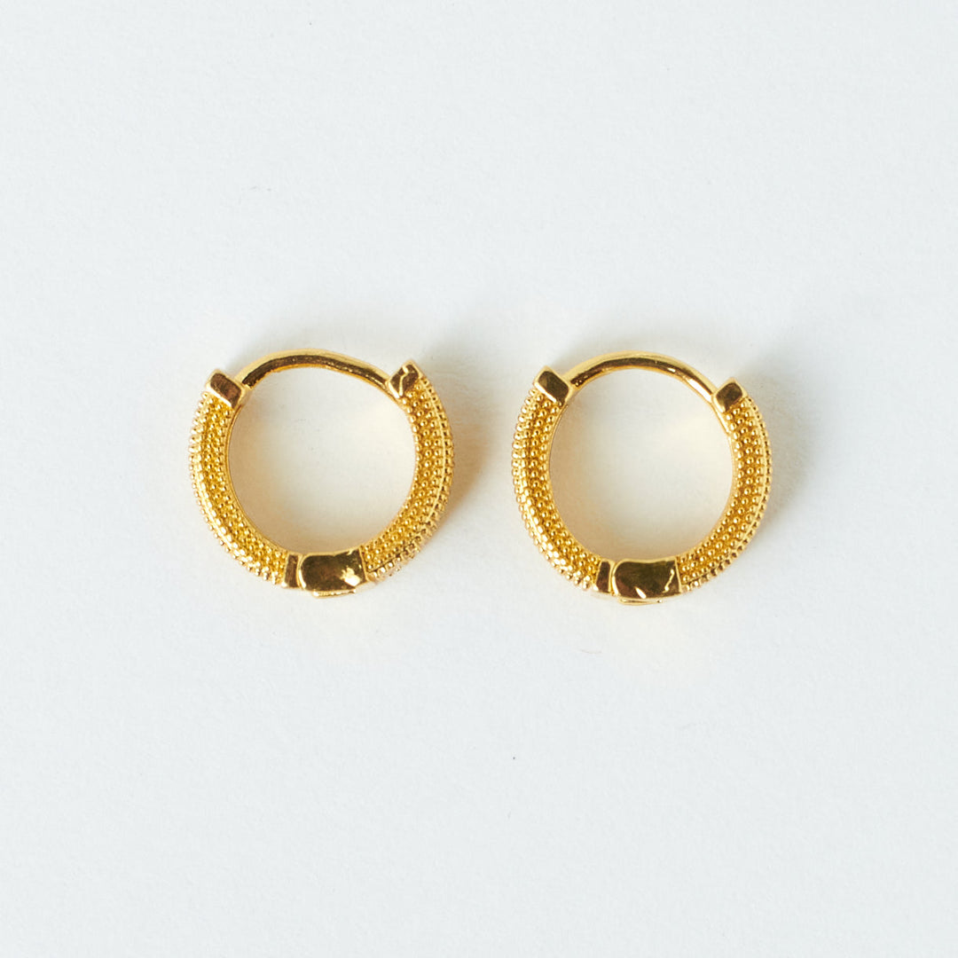 Sophisticated Golden Earrings - Salty Accessories
