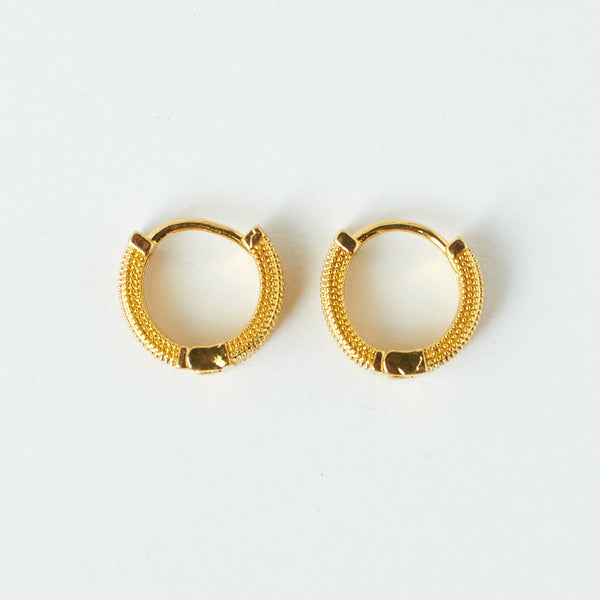 Sophisticated Golden Earrings