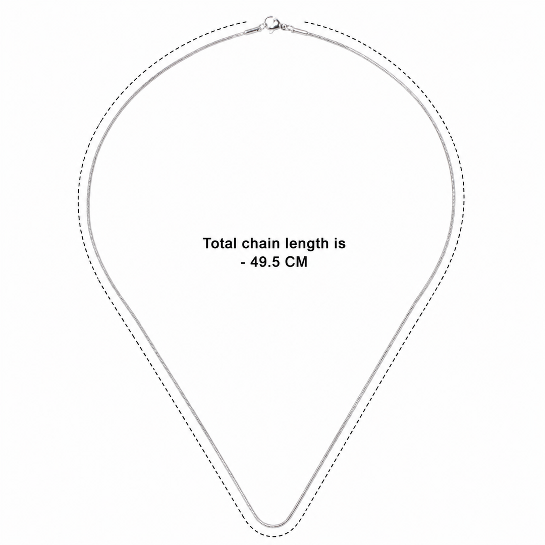 Round Snake Silver Chain