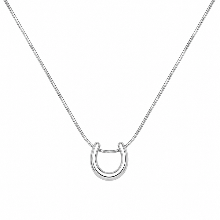 Selenophile Silver Necklace