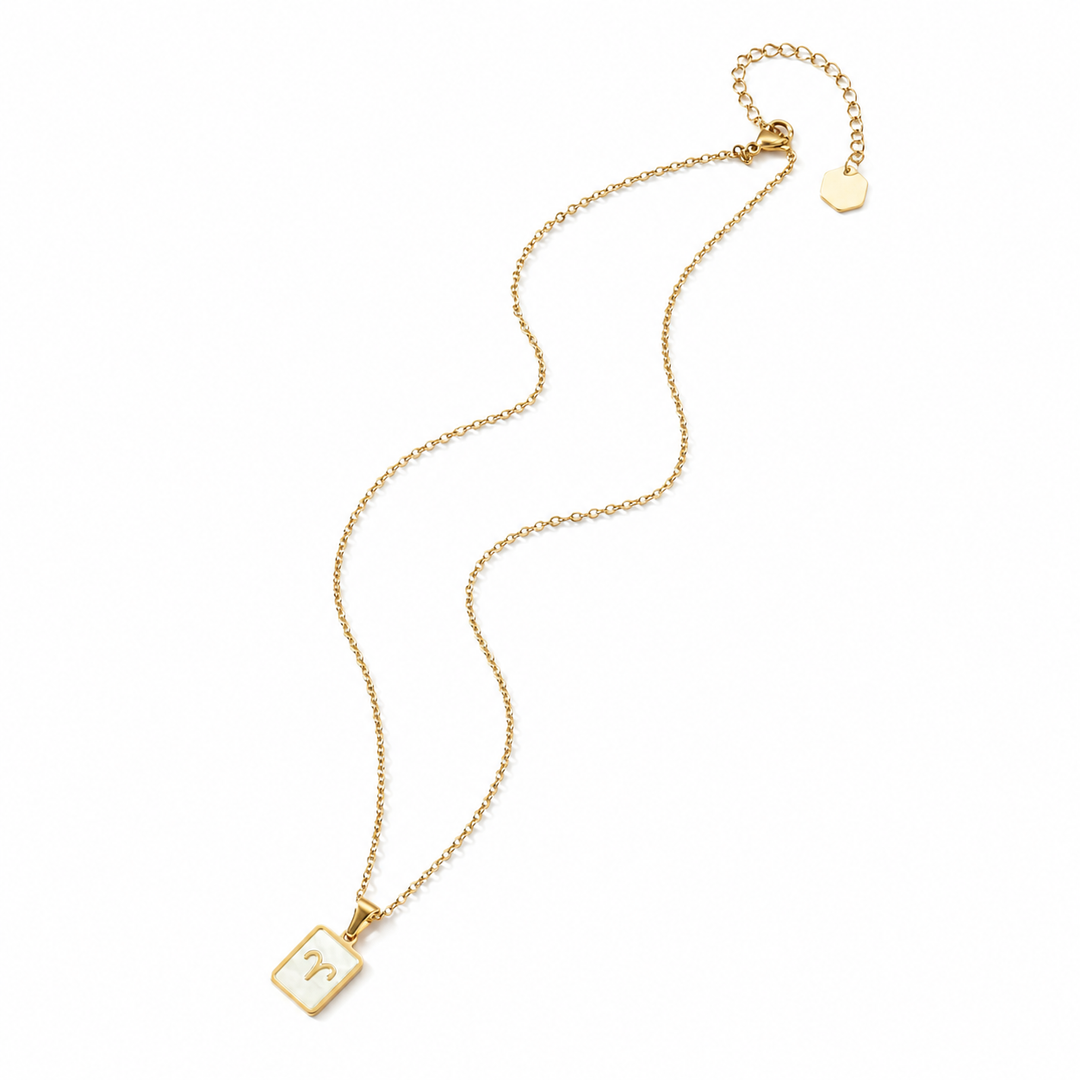 Sign of the Stars Zodiac Necklace