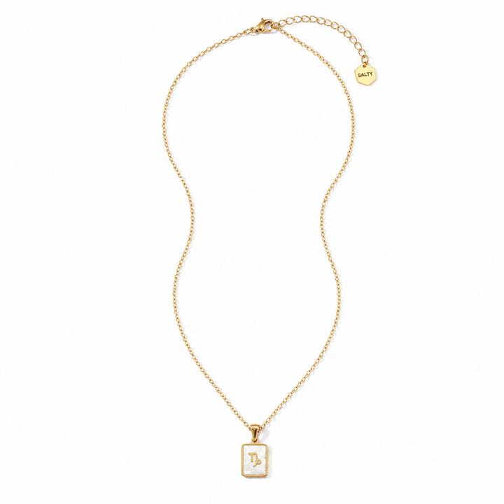 Sign of the Stars Zodiac Necklace