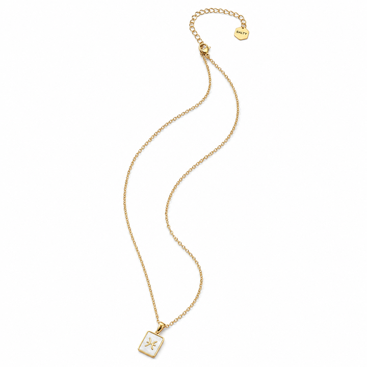 Sign of the Stars Zodiac Necklace