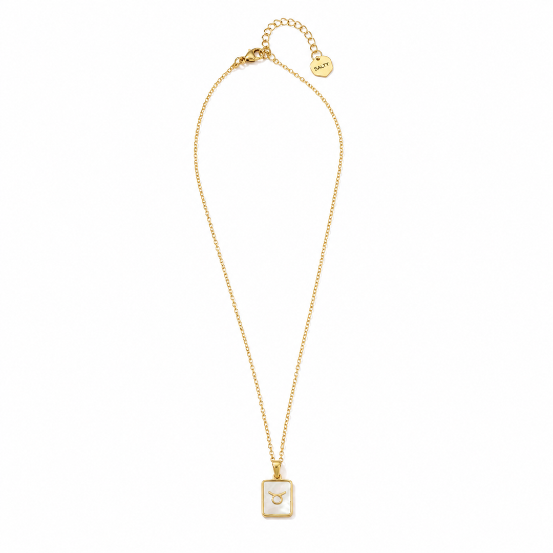 Sign of the Stars Zodiac Necklace